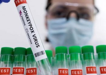 Salgın hastalık uzmanlarından WHO ve hükümetlere uyarı: Maymun çiçeği virüsüne daha hızlı yanıt verin