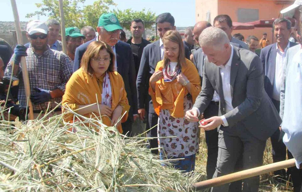 Sarımsak üreticisi dert yanınca, AKP’li vekil araya girdi: Sayın valim onu sormuyor!