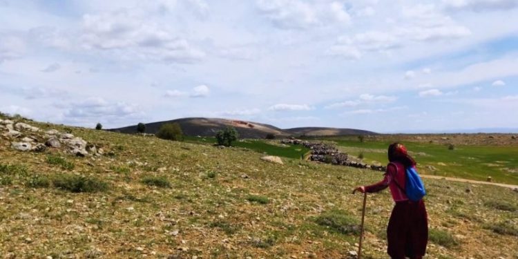 Sarıkeçili Yörüklerinin yürüyüşüne jandarma engeli: 'Kadim yaşam hakkımıza hakaret'