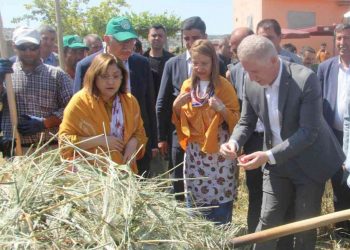 Sarımsak üreticisi dert yanınca, AKP’li vekil araya girdi: Sayın valim onu sormuyor!