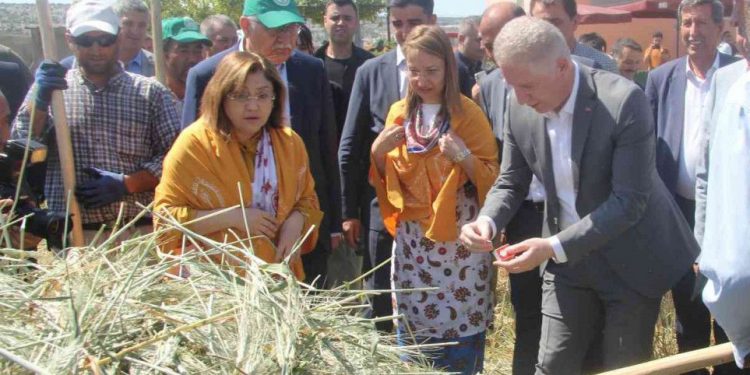 Sarımsak üreticisi dert yanınca, AKP’li vekil araya girdi: Sayın valim onu sormuyor!