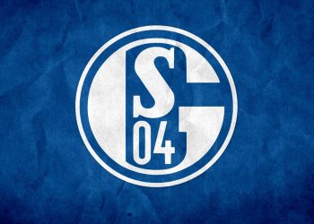 Schalke 04, Bundesliga'ya yükseldi