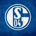Schalke 04, Bundesliga'ya yükseldi