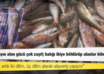 Sinoplu balıkçı: Vatandaşın alım gücü çok zayıf; balığı ikiye böldürüp alanlar bile var