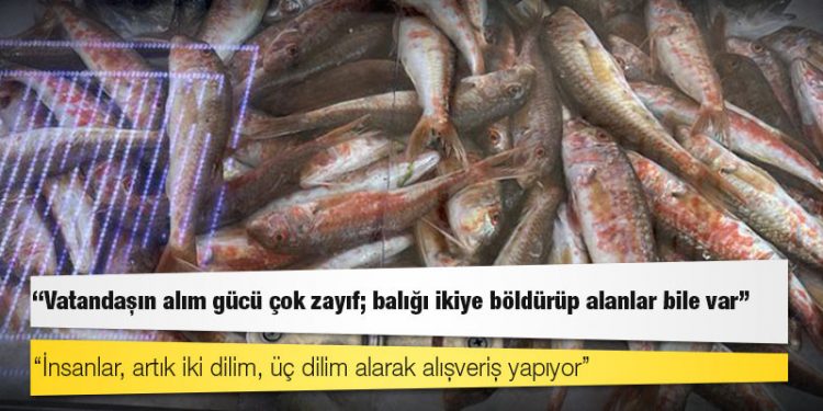 Sinoplu balıkçı: Vatandaşın alım gücü çok zayıf; balığı ikiye böldürüp alanlar bile var