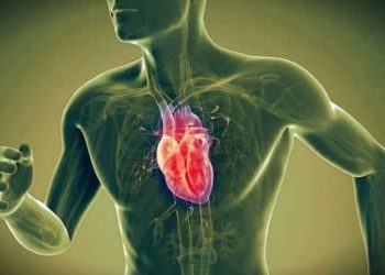 Sporcu takviyelerinin kalp krizi üzerinde bir etkisi var mı?