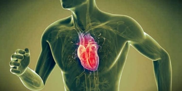 Sporcu takviyelerinin kalp krizi üzerinde bir etkisi var mı?