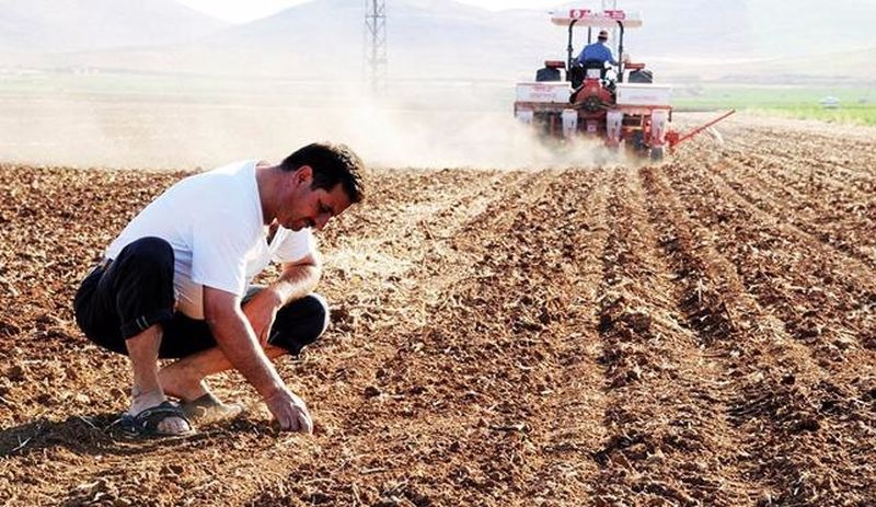 Türkiye'nin tarım emekçileri Dünya Çiftçiler Günü'nü 'kutlayamadı': Zararı telafi etmek artık çok zor