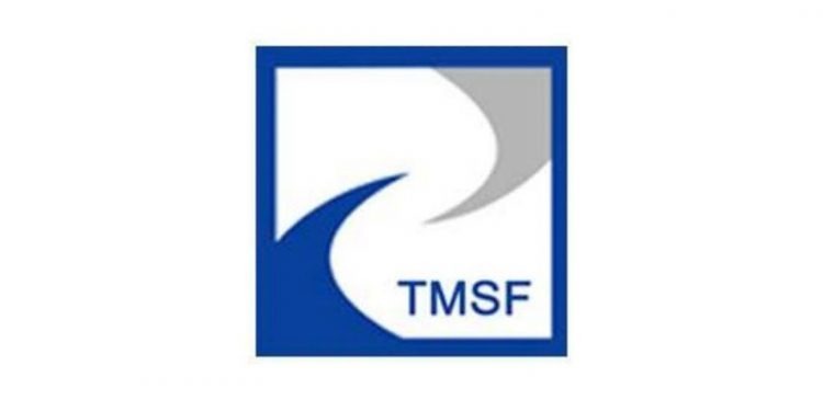 TMSF, Naksan Plastik ve Royal Halı'yı 120 milyon 500 bin lira muhammen bedelle satışa çıkardı