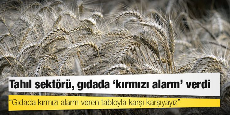 Tahıl sektörü, gıdada ‘kırmızı alarm’ verdi
