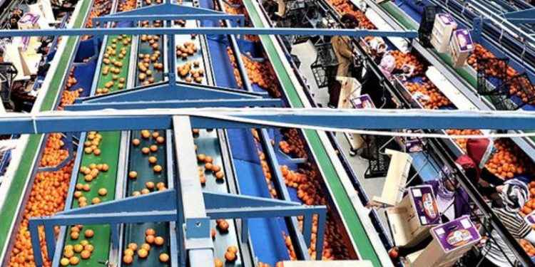 Tarım, gıda ve içecek sektöründe ihracat yüzde 21, ithalat yüzde 22 arttı