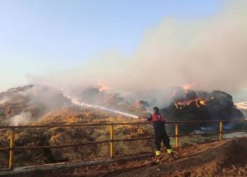 Tarım ve hayvancılık tesisinde yangın: Tonlarca saman ve yem kül oldu