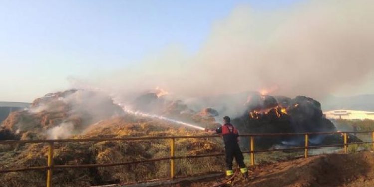 Tarım ve hayvancılık tesisinde yangın: Tonlarca saman ve yem kül oldu