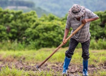Tarımsal girdi enflasyonu rekor tazeledi: En büyük enflasyon gübrede