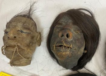 'Tsantsa'lar geldiği ülkeye iade edilecek