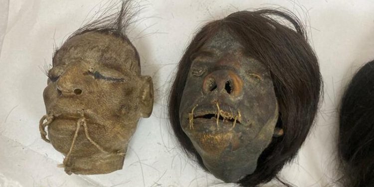 'Tsantsa'lar geldiği ülkeye iade edilecek