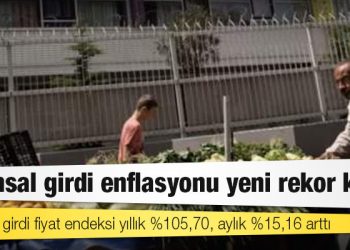 TÜİK: Tarımsal girdi fiyat endeksi yıllık %105,70, aylık %15,16 arttı
