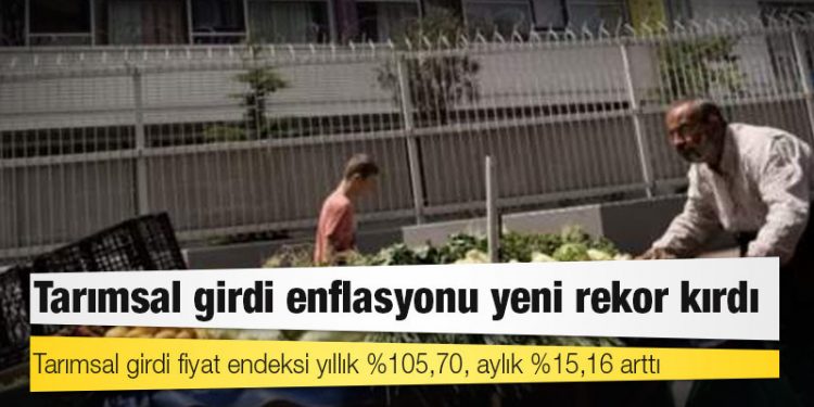 TÜİK: Tarımsal girdi fiyat endeksi yıllık %105,70, aylık %15,16 arttı