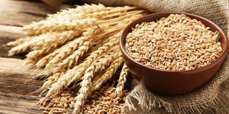 Türkiye'nin buğday ithalatı için yöneldiği Hindistan'da satış durduruldu