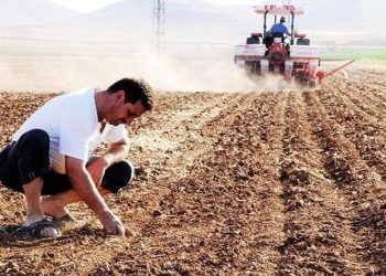 Türkiye'nin tarım emekçileri Dünya Çiftçiler Günü'nü 'kutlayamadı': Zararı telafi etmek artık çok zor