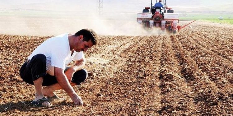 Türkiye'nin tarım emekçileri Dünya Çiftçiler Günü'nü 'kutlayamadı': Zararı telafi etmek artık çok zor