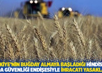 T&uuml;rkiye&rsquo;nin buğday almaya başladığı Hindistan, gıda g&uuml;venliği endişesiyle ihracatı yasakladı