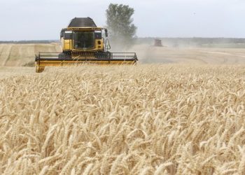 Ukrayna Tarım Bakanı: Tahıl krizi yaz aylarında derinleşecek 