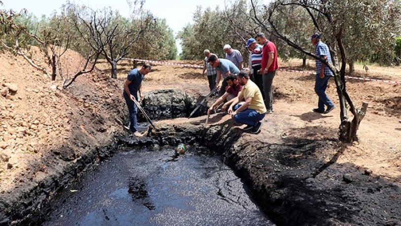 Zeytin bahçesinden çıkan siyah sıvı köylüleri heyecanlandırdı: 'İnşallah petroldür'