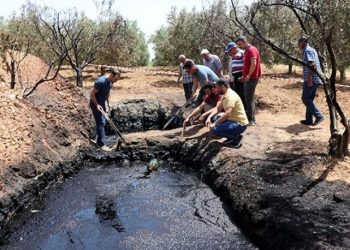 Zeytin bahçesinden çıkan siyah sıvı köylüleri heyecanlandırdı: 'İnşallah petroldür'
