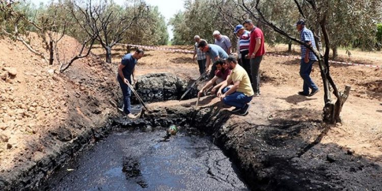 Zeytin bahçesinden çıkan siyah sıvı köylüleri heyecanlandırdı: 'İnşallah petroldür'