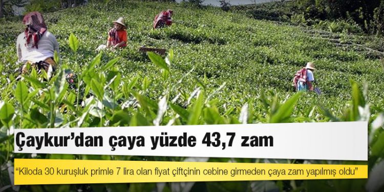 Çaykur'dan çaya yüzde 43,7 zam