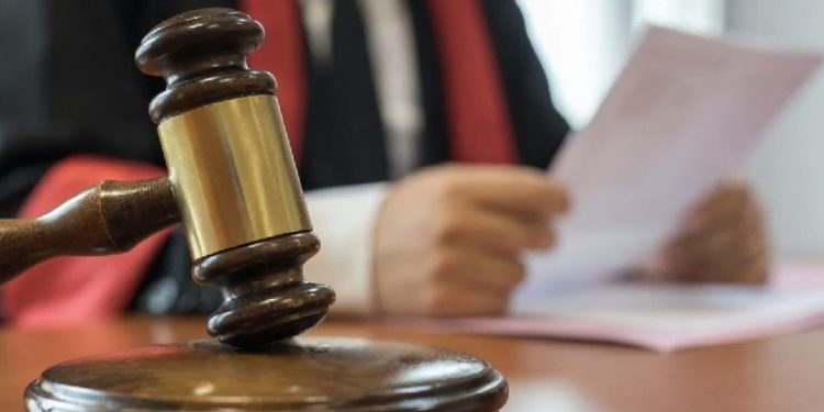 Çevre Bakanlığı, mahkemenin iptal ettiği kararı yeniden planlarda yer verdi