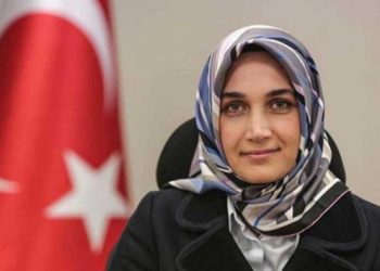 İlk baş&ouml;rt&uuml;l&uuml; valinin şirketleri g&ouml;z doldurdu