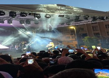 İrem Derici'nin konseri yarıda kesildi
