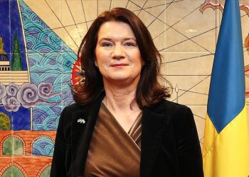 İsveç Dışişleri Bakanı, Çavuşoğlu'yla görüşmeyi değerlendirdi: Çözüme ulaşamadık