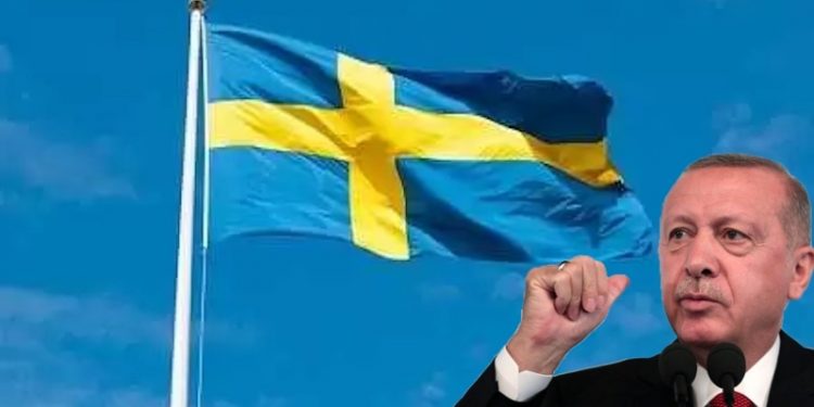 İsveçli aydınlardan 'Yayıncıları Erdoğan'a teslim etmeyin' çağrısı