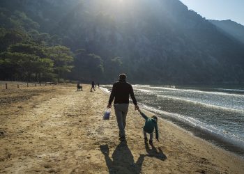 İzmir, Antalya, Muğla, Aydın… Hazine yine kamu arazilerini satıyor