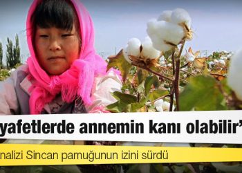 İzotop analizi Sincan pamuğunun izini sürdü: "O kıyafetlerde annemin kanı olabilir"