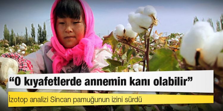 İzotop analizi Sincan pamuğunun izini sürdü: "O kıyafetlerde annemin kanı olabilir"
