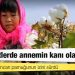 İzotop analizi Sincan pamuğunun izini sürdü: "O kıyafetlerde annemin kanı olabilir"