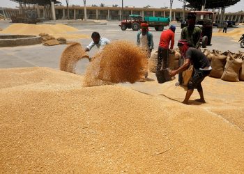 İşlemler başlatıldı, Hindistan’dan hastalıklı buğday getiren gemi geri gönderiliyor