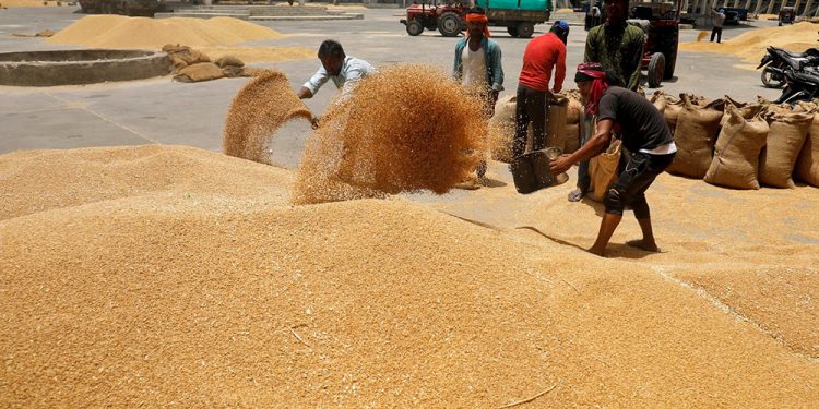 İşlemler başlatıldı, Hindistan’dan hastalıklı buğday getiren gemi geri gönderiliyor