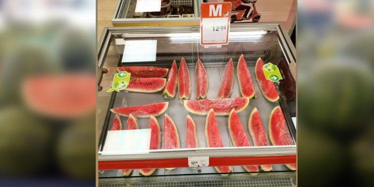 ‘Bir bütün karpuz almak lüks olamaz’