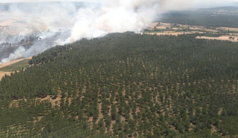 Çanakkale'de tarladaki yangın ormana sıçradı