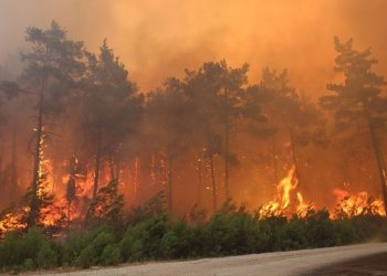 AKP ve MHP,  'orman yangınları araştırılsın' önergesini de reddetti