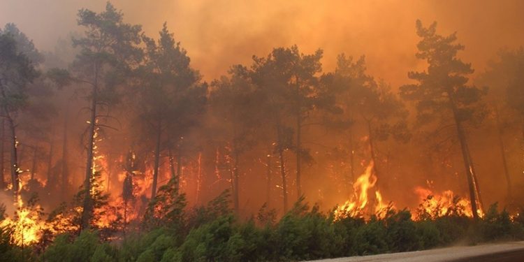 AKP ve MHP,  'orman yangınları araştırılsın' önergesini de reddetti
