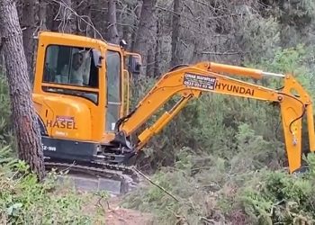 AKP’li Sancaktepe Belediyesi ‘millet bahçesi’ bahanesiyle Aydos Ormanı’nı talan ediyor