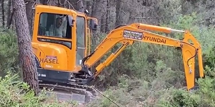 AKP’li Sancaktepe Belediyesi ‘millet bahçesi’ bahanesiyle Aydos Ormanı’nı talan ediyor