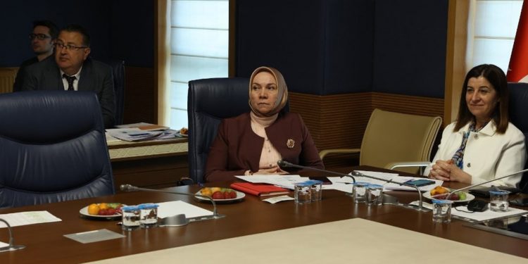 AKP’li vekil Nergis: Türkiye mülteciler için cazibe merkezi