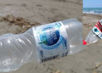 Adana'da 'medeniyetler buluşması': &Ccedil;&ouml;p&uuml;n biri Romanya'dan, diğeri &Ccedil;in'den...